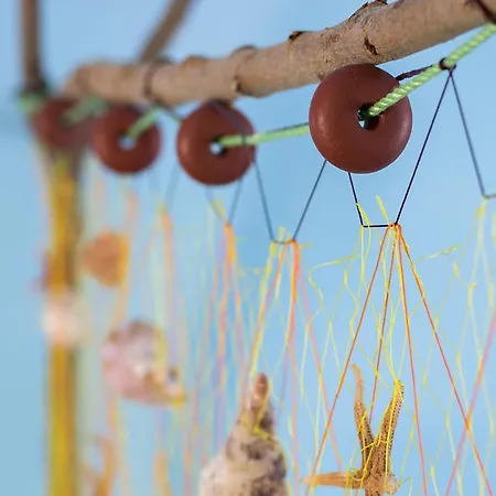 Captain Elias 1 Daire *